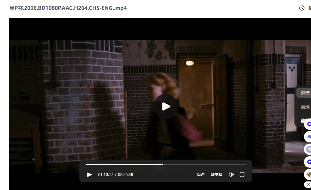 豆瓣8.4高分 欧洲大C度惊悚片《黑皮书》(惊惧黑书)145分钟未删减版 (2006)1080P中英双字【4.4G】