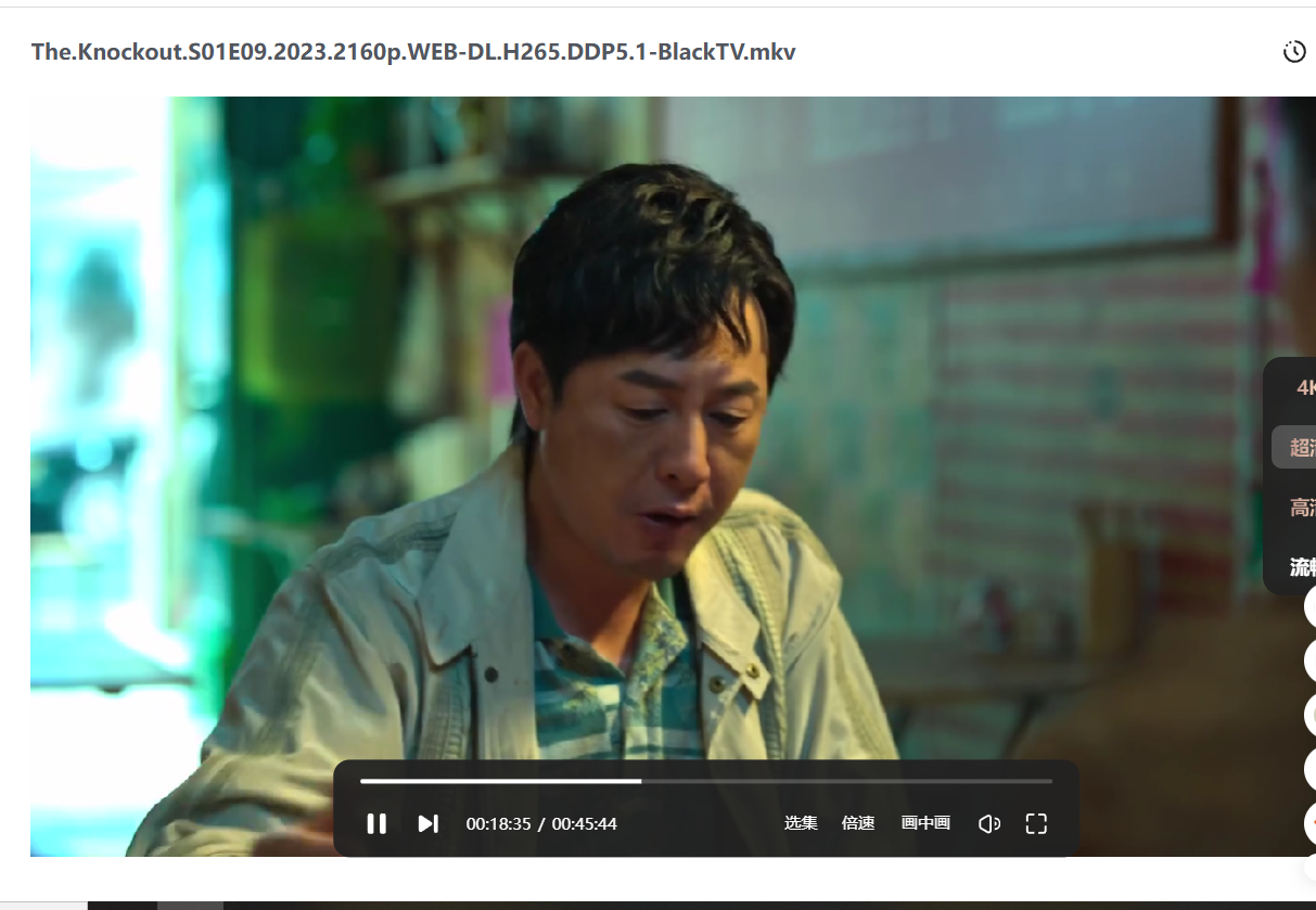 狂飙 (2023) 4K 高码率 1080P 去片头片尾 国语中字 全39集 无水印 2023高分剧 张译 / 张颂文